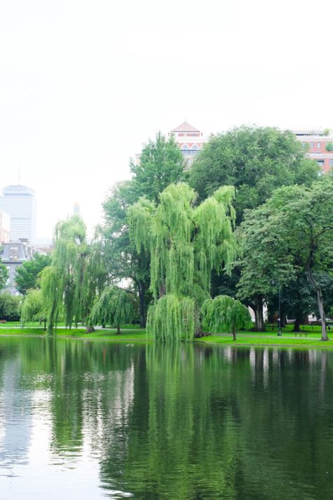 What to Do In Boston - The Stripe.