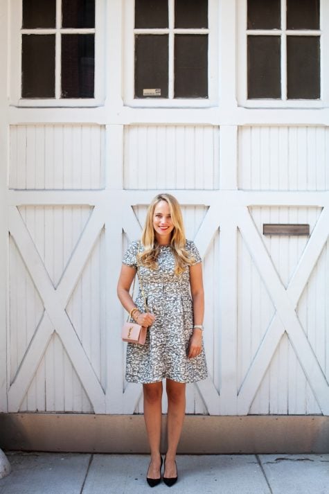 Eliza J Jacquard Dress - The Stripe.