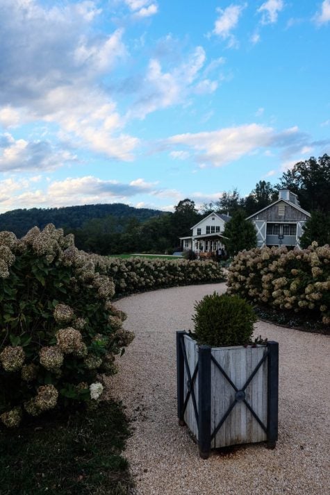 Two Days in Charlottesville, VA - The Stripe Blog, Grace Atwood - Pippin Hill Farm