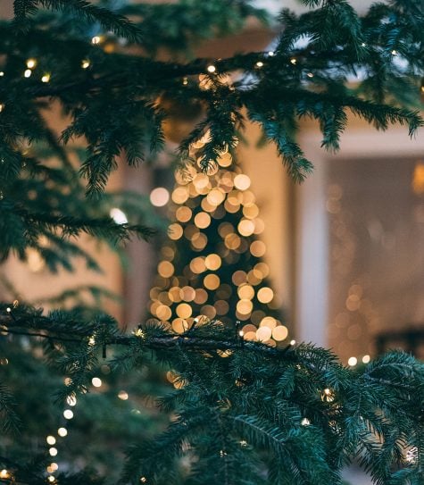 Weekend Reading | 12.22.18