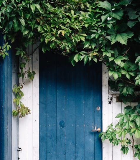 Weekend Reading | 1.19.19
