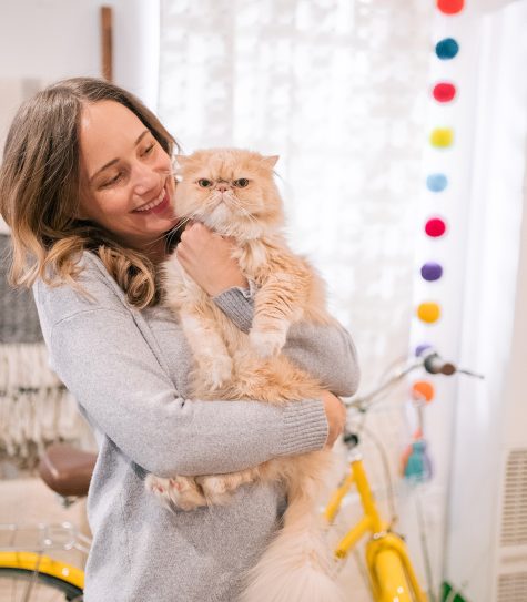 CHEWY CAT TOYS