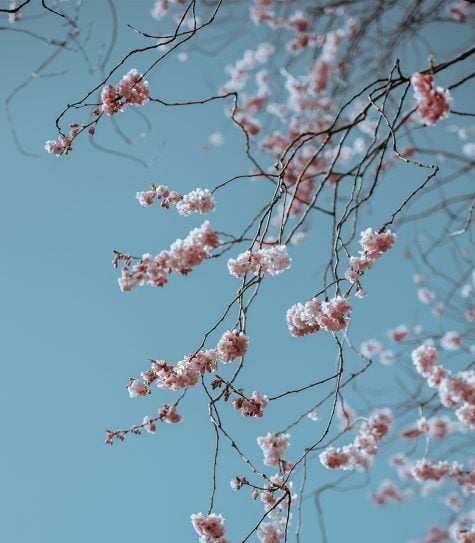 Weekend Reading | 4.27.19.