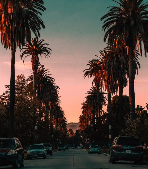 Weekend Reading | 4.20.19