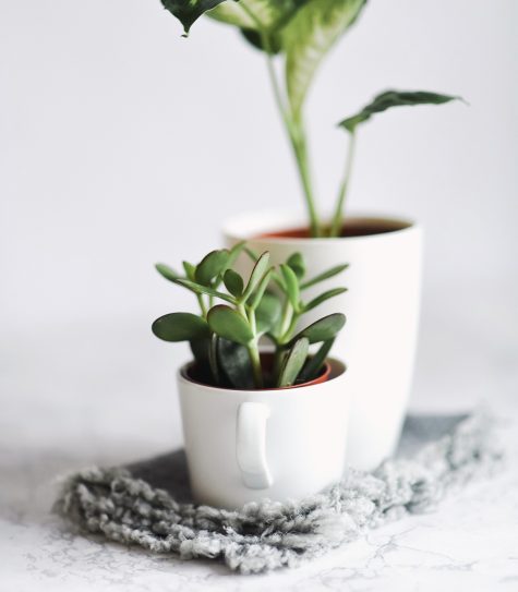 Weekend Reading | 5.25.19