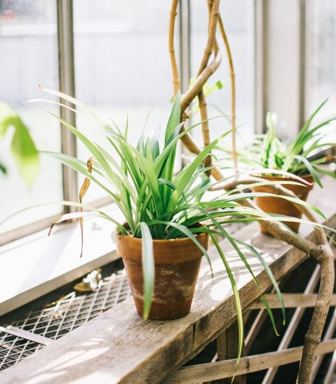 Weekend Reading | 5.18.19.