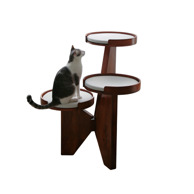 Cat Tower
